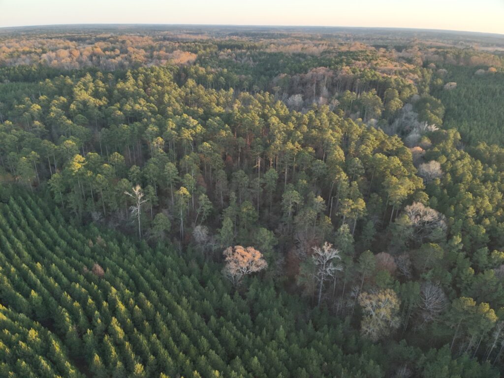 Property photo for land for sale in Union County Arkansas