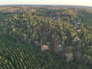 Property photo for land for sale in Union County Arkansas