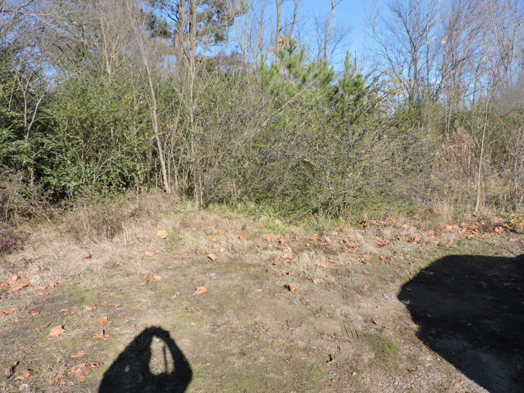 Property photo for land for sale in Scott County Arkansas