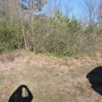 Property photo for land for sale in Scott County Arkansas