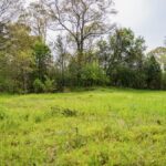 Property photo for land for sale in Wilkinson County Mississippi