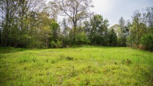 Property photo for land for sale in Wilkinson County Mississippi