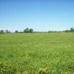 Property photo for land for sale in Marquette County Wisconsin