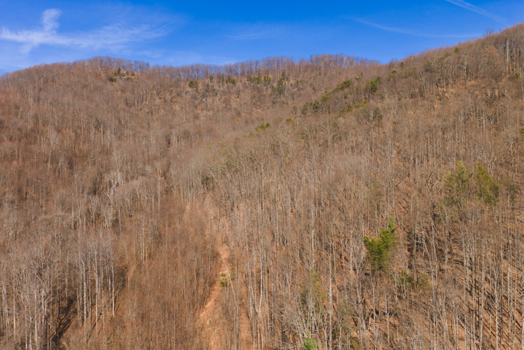Property photo for land for sale in Alexander County North Carolina