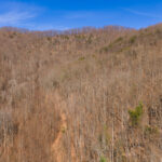 Property photo for land for sale in Alexander County North Carolina