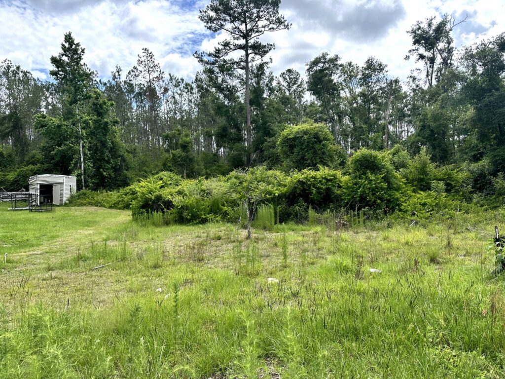 Property photo for land for sale in Suwannee County Florida
