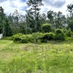Property photo for land for sale in Suwannee County Florida
