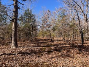 Property photo for land for sale in Stone County Arkansas