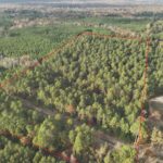 Property photo for land for sale in Ouachita County Arkansas