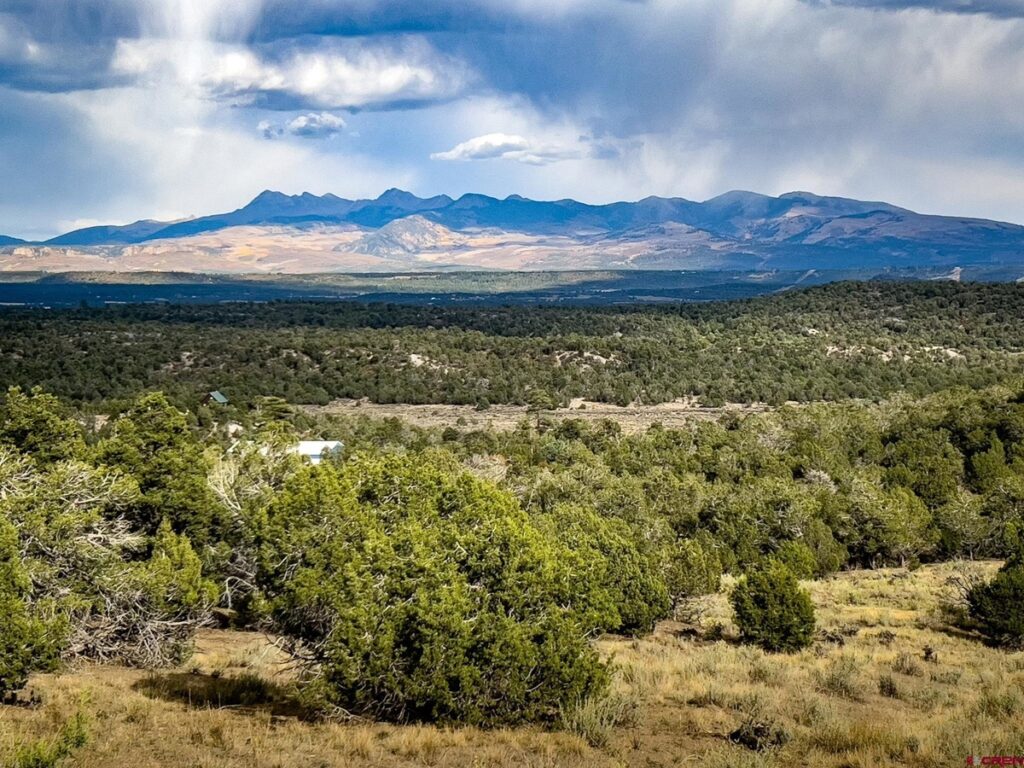 Property photo for land for sale in Montezuma County Colorado