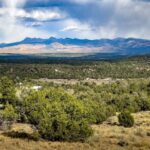 Property photo for land for sale in Montezuma County Colorado