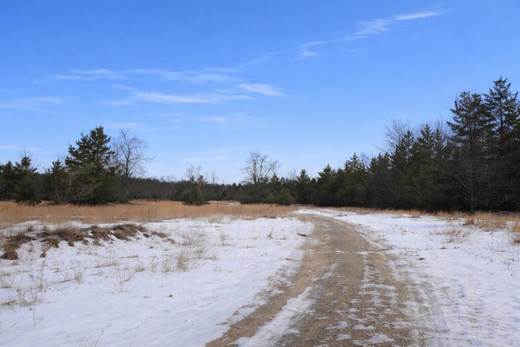 Property photo for land for sale in Montmorency County Michigan