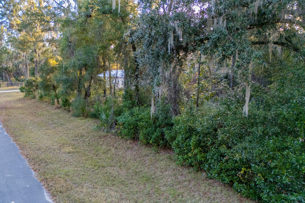 Property photo for land for sale in Levy County Florida