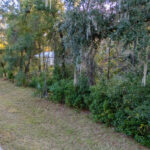 Property photo for land for sale in Levy County Florida