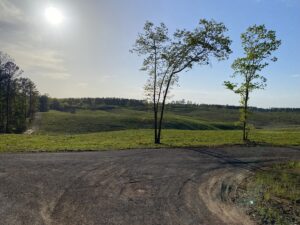 Property photo for land for sale in McNairy County Tennessee