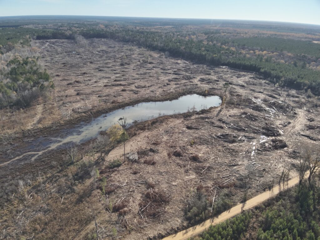 Property photo for land for sale in Calhoun County Arkansas