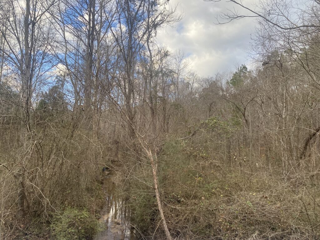 Property photo for land for sale in McNairy County Tennessee