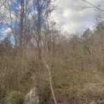 Property photo for land for sale in McNairy County Tennessee