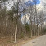 Property photo for land for sale in McNairy County Tennessee
