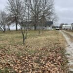 Property photo for land for sale in Douglas County Missouri