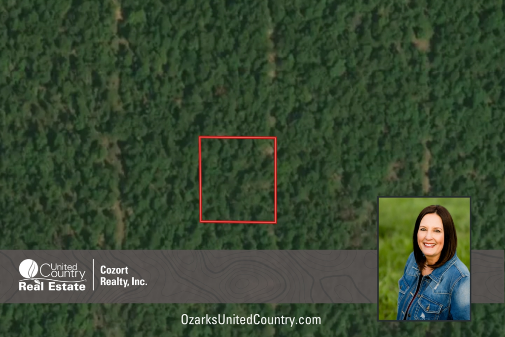 Property photo for land for sale in Izard County Arkansas