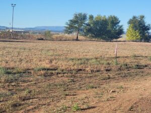 Property photo for land for sale in Torrance County New Mexico