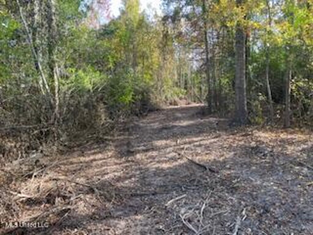 Property photo for land for sale in Pike County Mississippi