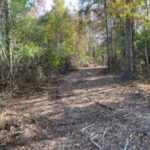 Property photo for land for sale in Pike County Mississippi