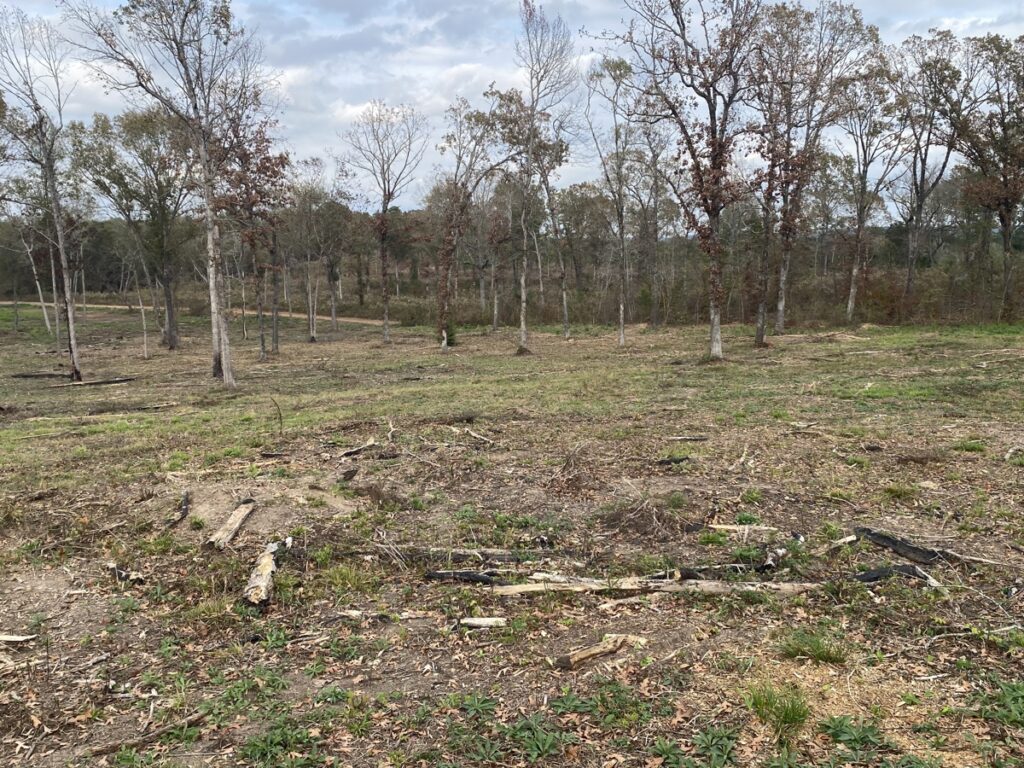 Property photo for land for sale in Upshur County Texas