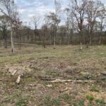 Property photo for land for sale in Upshur County Texas