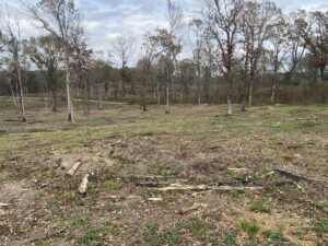 Property photo for land for sale in Upshur County Texas