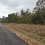 Property photo for land for sale in Miller County Arkansas