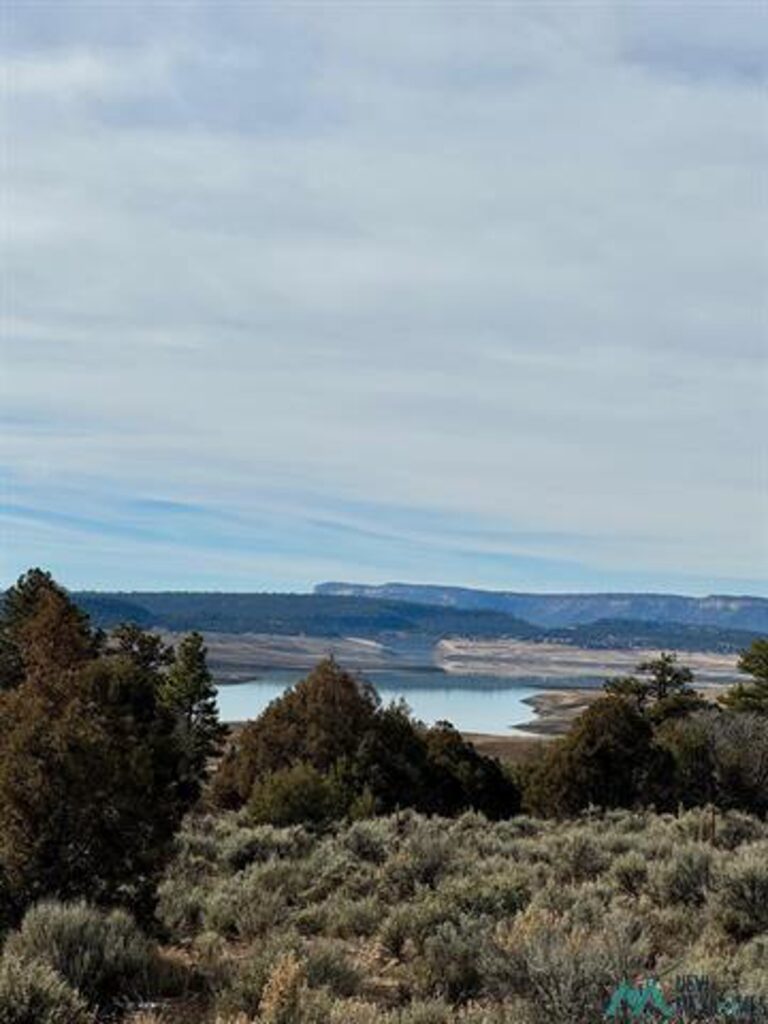 Property photo for land for sale in Rio Arriba County New Mexico