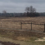Property photo for land for sale in Cass County Texas