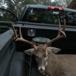 Property photo for land for sale in Decatur County Georgia