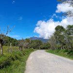 Property photo for land for sale in  County Panama