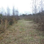 Property photo for land for sale in Scott County Arkansas