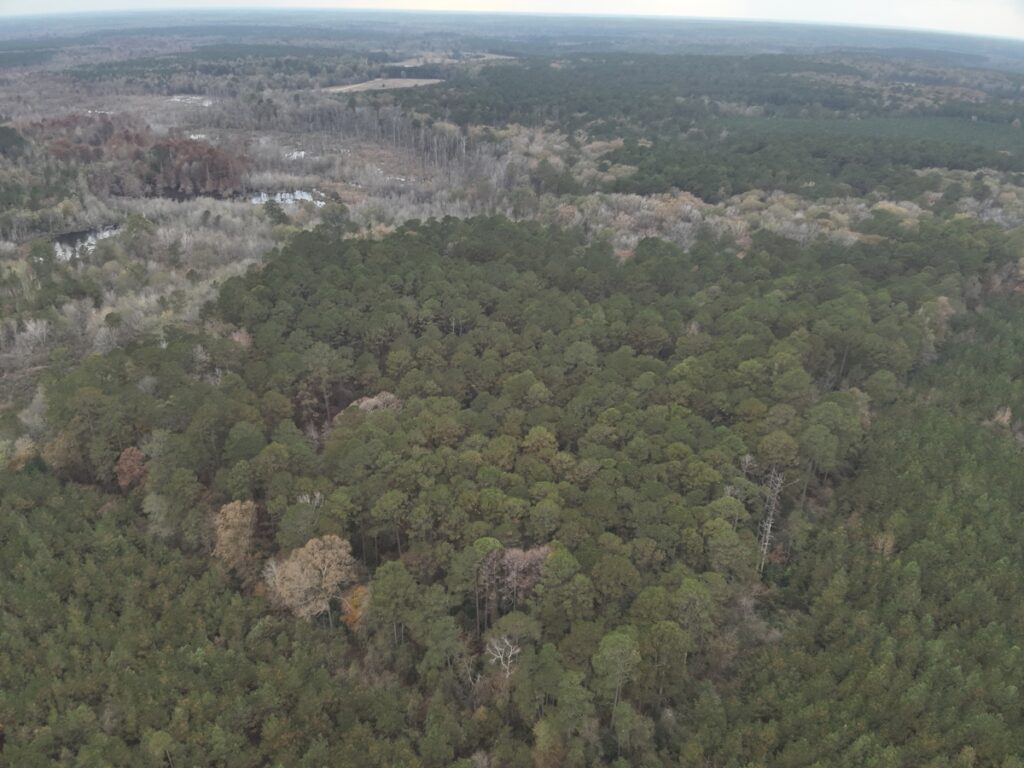 Property photo for land for sale in Union County Arkansas