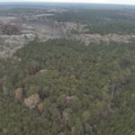 Property photo for land for sale in Union County Arkansas