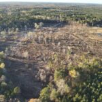 Property photo for land for sale in Calhoun County Arkansas