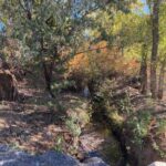 Property photo for land for sale in Delta County Colorado