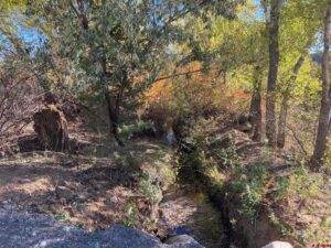 Property photo for land for sale in Delta County Colorado