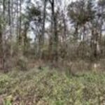 Property photo for land for sale in Suwannee County Florida