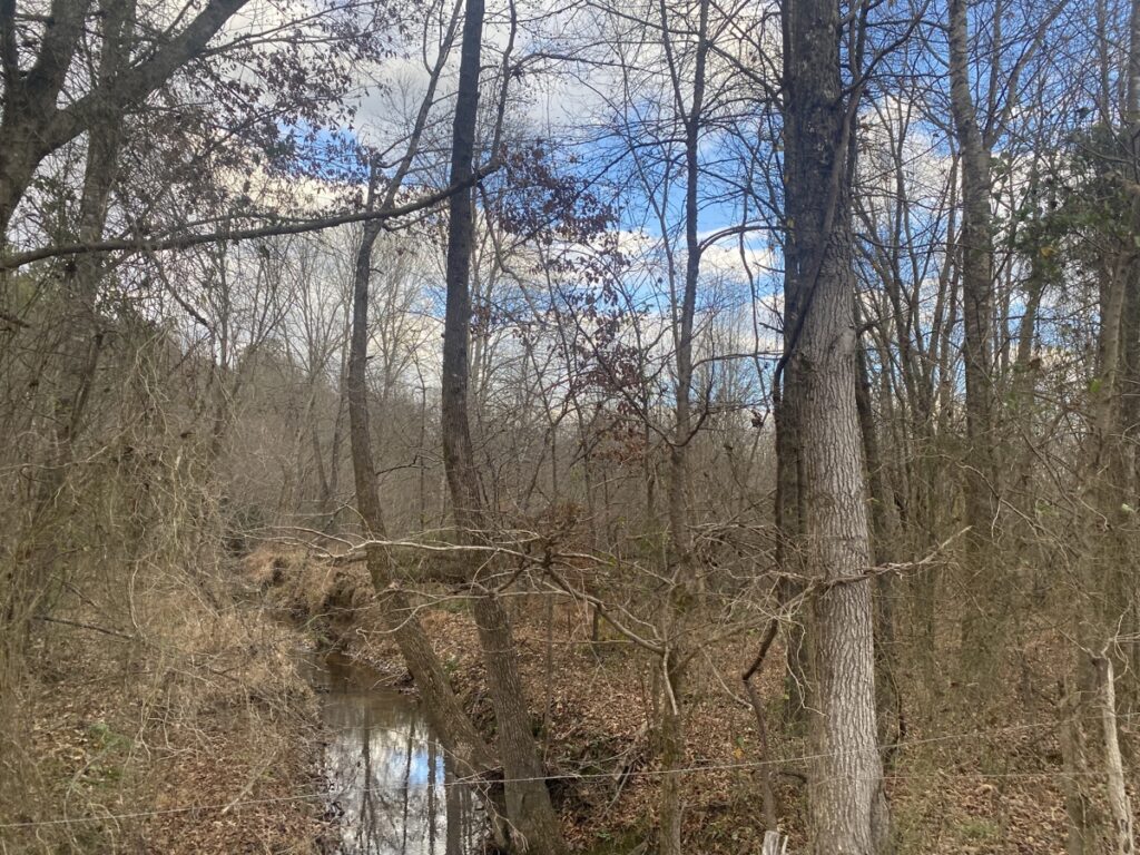 Property photo for land for sale in McNairy County Tennessee