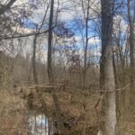 Property photo for land for sale in McNairy County Tennessee