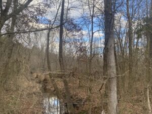 Property photo for land for sale in McNairy County Tennessee