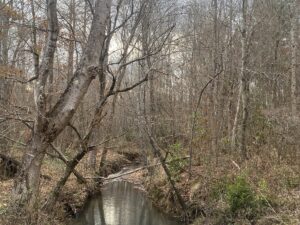 Property photo for land for sale in McNairy County Tennessee