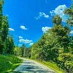 Property photo for land for sale in Carroll County Arkansas