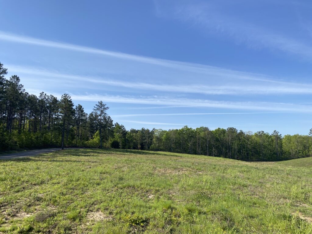 Property photo for land for sale in McNairy County Tennessee