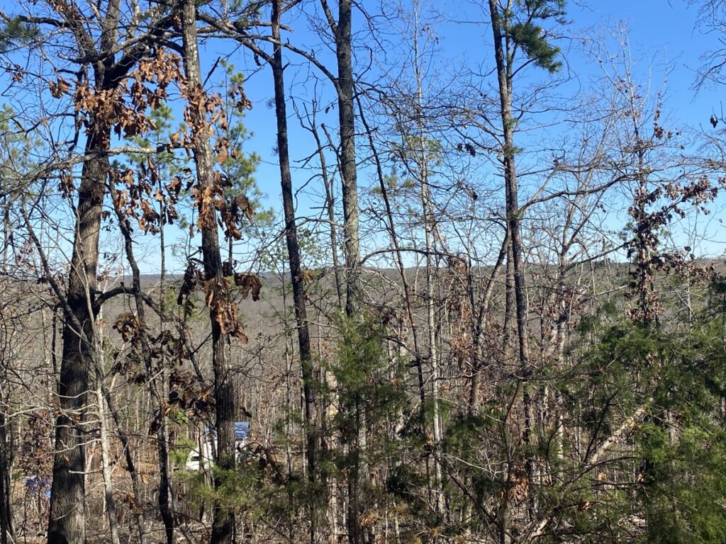 Property photo for land for sale in Fulton County Arkansas